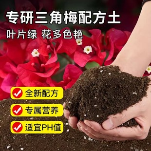 Special Soil for Bougainvillea, Nutritious Soil, Flower Soil, Special Soil for Flowering, Potted Soil, Fertilizer, Soil, Planting Soil, Culture Soil