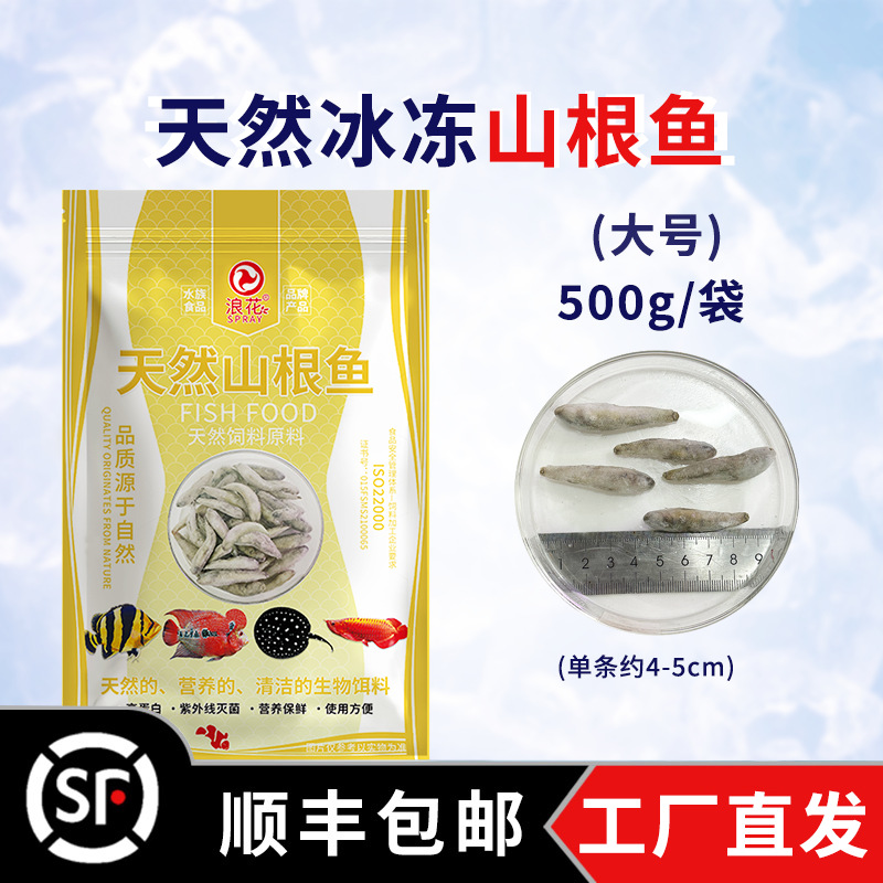 500g mountain root fish (large size)