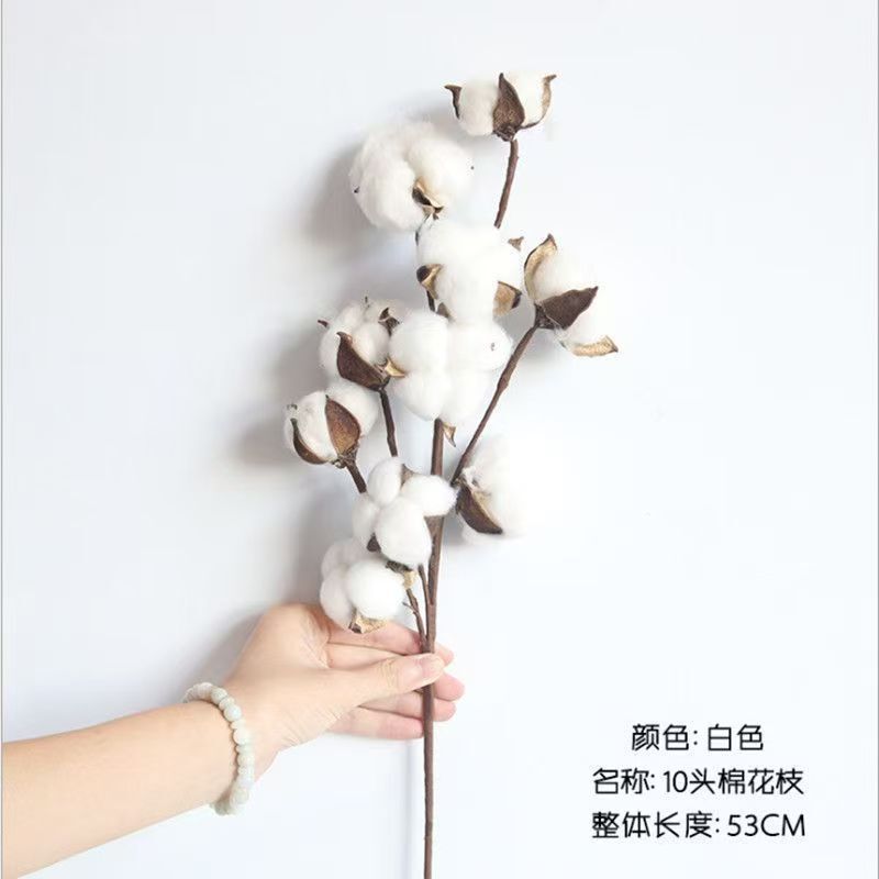 Cross-Border E-Commerce Cotton Dried Flowers 10 Kapok Branches Artificial Flowers Artificial Dried Flowers Cotton Home Living Room Decoration Cross-Border E-Commerce Cotton Dried Flowers 10 Kapok Branches Artificial Flowers Artificial Dried Flowers Cotton Home Living Room Decoration
