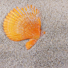 �S�ҹ�����ͯ�ʘ���ɳ ����ɳ�P��ɳ ��ͯ���ɳ �׃��@ɳ�Ӻ�ɳ