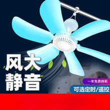 2024�¿�С��С��������W���Î����ϳ������o���������ʽ��L��