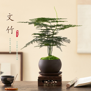 ��������ֲ���҃ȿ͏d��ʽ�U��С�辰�B�Gֲ�k���Ҕ[�����⻨��