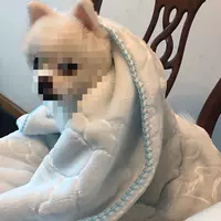 Одеяло для тепла зимой, спальный коврик для зимы, спальный коврик из антипригарного меха, маленькое одеяло для кошек, одеяло для домашних собак.
