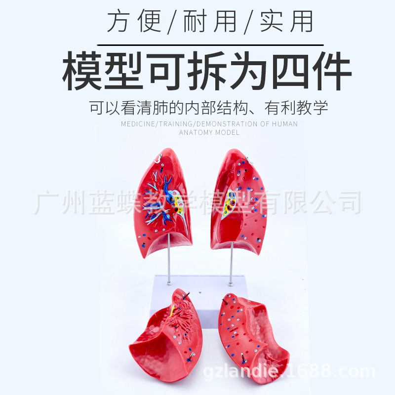 ��Ȼ��ν��� ҽѧ����ζην���ģ�� ����ϵͳ�ζ�����ƺ�����