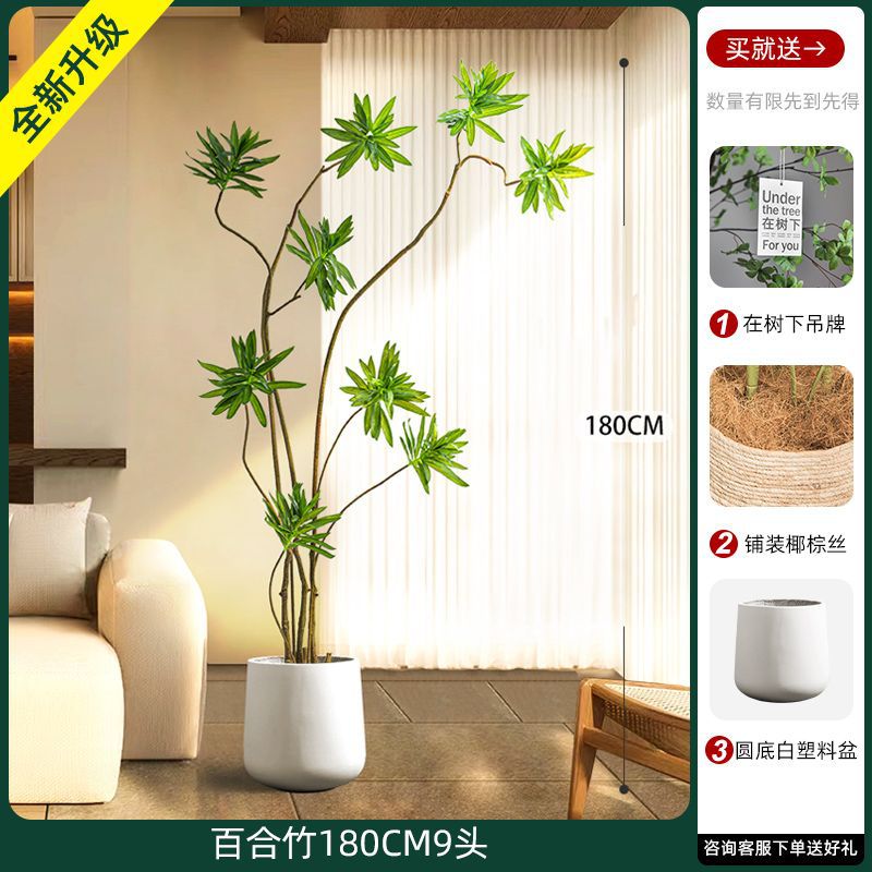 [W Ruyi Bamboo] Chậu bán nguyệt 180CM9
