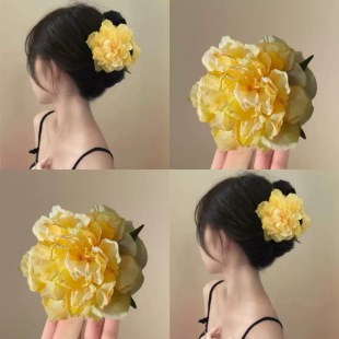 ����ɽ�軨���伃ɫ�����l�A���ֵ�����������䄢����߅�lՇ�