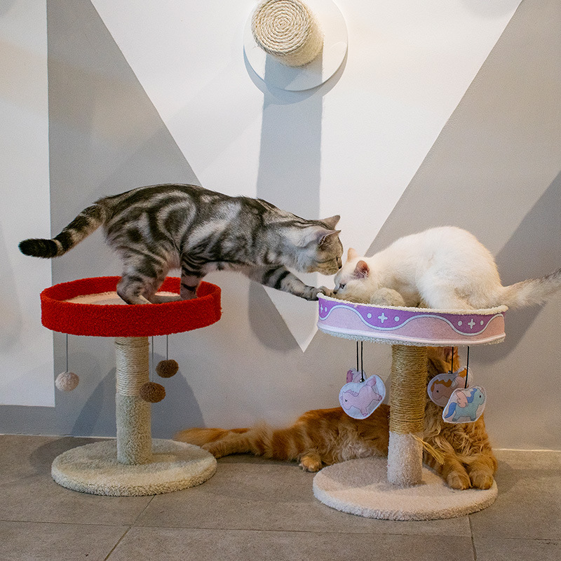 Leyoupai, marco de escalada para gatos de invierno, nido para gatos, árbol para gatos, tabla para rascar gatos, estante para gatos, poste para rascar gatos, marco de escalada para mascotas pequeñas, nido