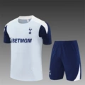 25262526 tottenham gray training suit