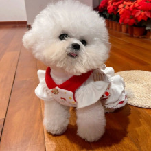 猫咪狗狗衣服宠物公主迪马尔济斯狗狗小型春夏裙子新款