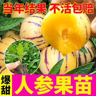 �˅��������ˮ���N������玧����ϵ�l�_�Ϸ����˅�����ͥԺ����