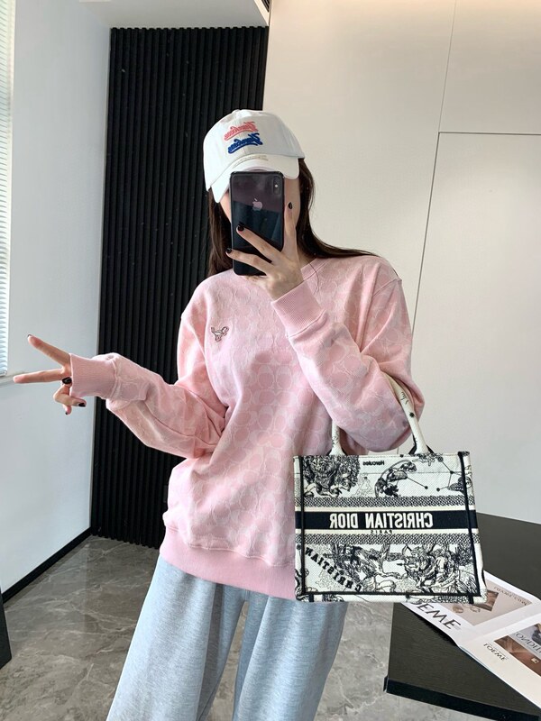 蔻家卫衣女25年新款粉色恐龙字母提花女士卫衣圆领套头轻奢长袖衫|undefined