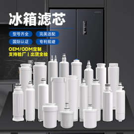 碱性GE冰箱水过滤器Kenmore Everydrop冰箱过滤器Maytag冰箱滤芯