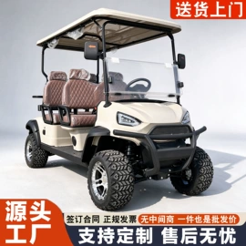 电动观光车;高尔夫球车;其他电动车