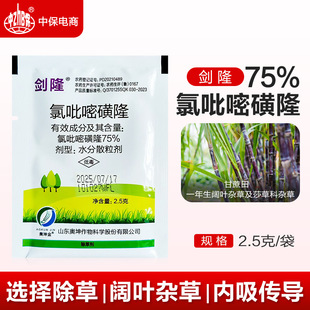 ��¡75%�����׻�¡ ��������~�s�ݺ�ɯ�ݿ��s�ݳ��݄�