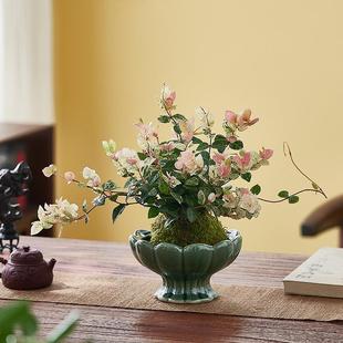 Flower Leaf Climbing Hydrangea Hydroponic Plant Moss Ball Tea Room Office Desktop Potted Green Plant Colorful Flower Climbing Vine Hanging Orchid