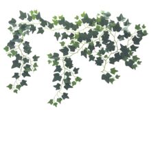 ���泣���ټٻ��G�}�ٗl�Ҿӻ�c�@ˇ�쾰�b�ֲ��������ɽ������