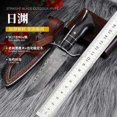 便携日渊户外防身刀具老树黑檀木手柄经典实用水果多功能刀