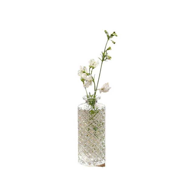 Retro light luxury embossed transparent mini glass vase ins style…