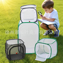折叠昆虫笼蝴蝶笼子可孵化防虫纱网螳螂幼苗透光培育观察箱笼批发