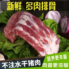 豬排骨批發【大賣】新鮮多肉黑豬散養土豬小排肋排前排生豬肉
