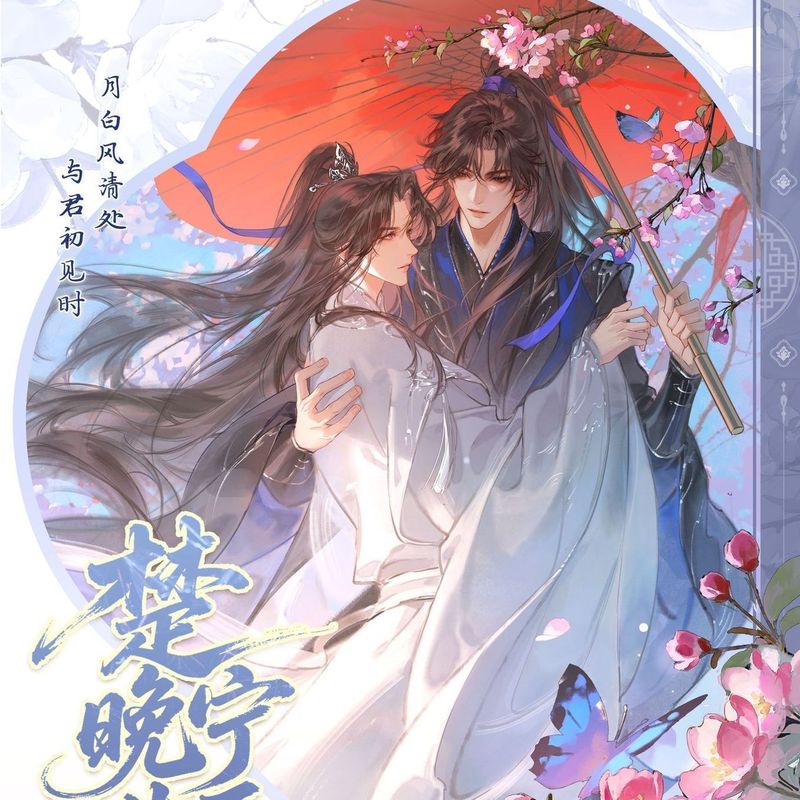 正版现货 二哈和他的白猫师尊 楚晚宁生日周边一伞情劫问情吧唧|undefined