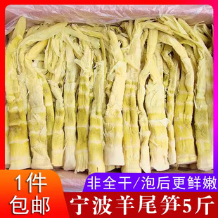 �������β�S��5���b �r��ë�S�z�����r�}���SҰɽ��⿾�S��