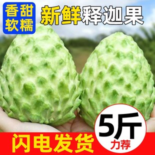 ����ţ���P����ȹ�����֦���^��ԭ�a�ؑ��������rˮ���r���ЋD�l