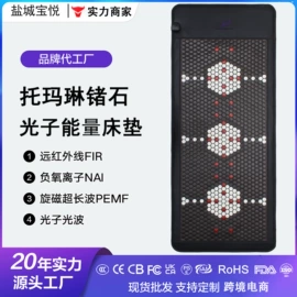 功能床垫;电热护膝护腰;按摩枕/靠垫