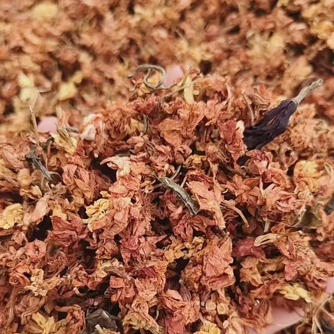 广西南宁横州市茉莉花之都茉莉花之都晒干茉莉红花，枕芯填充