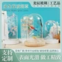 展示桌面手办透明罩子