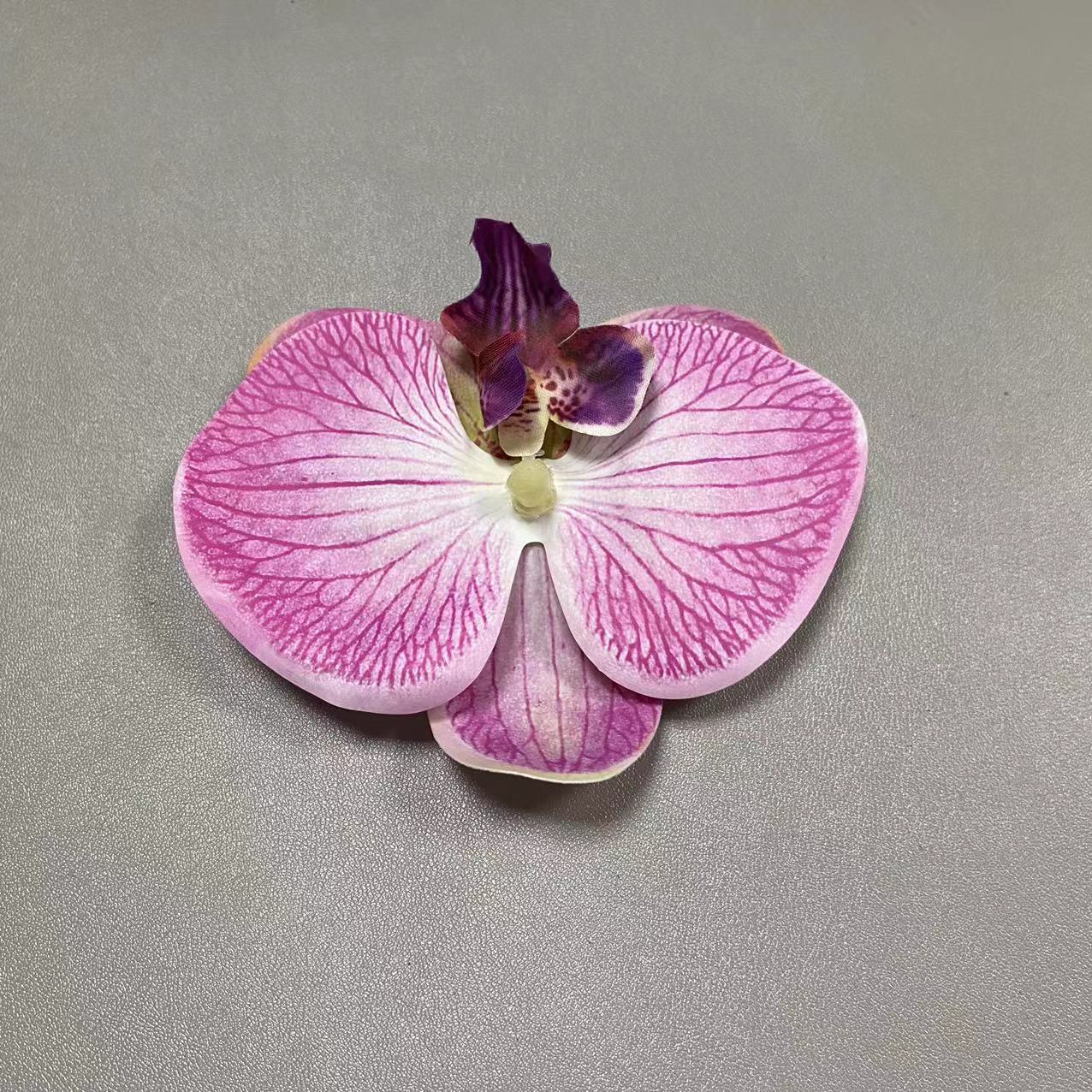 54호
