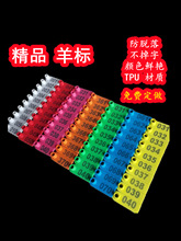 �����̖�� ����ˎ��ֶ����ƶ���̖�� �i���ÈA���L�l̖��