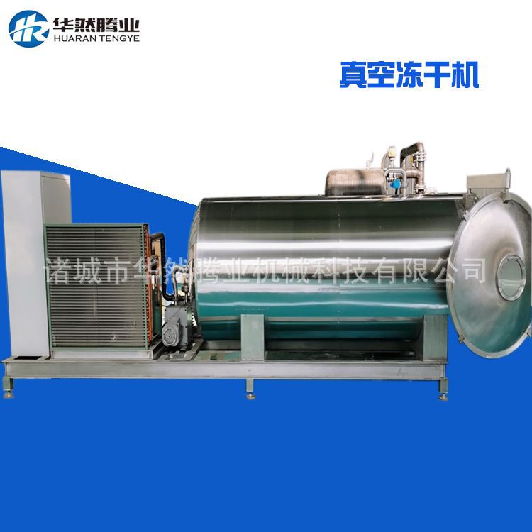 菠萝蜜真空冻干机 根据产量定做 小型水果冷冻真空干燥机 定制型