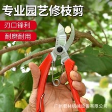 ��Ʒ�M��-̨��������120��֦��-������-�����-�@ˇ�ּ�-�@ˇ����