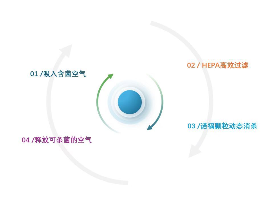 微信图片_20250509224843