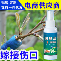 植物接ぎ木傷癒合剤果樹根癒合傷口剪定花卉大木盆栽切り口促活液