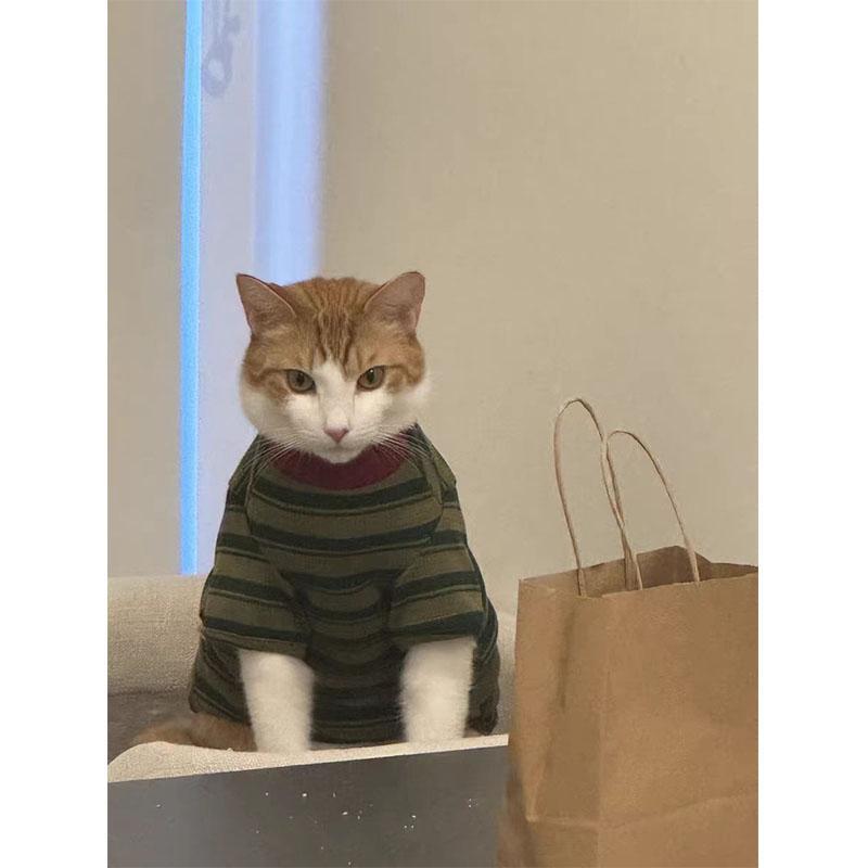 Primavera y verano delgada ropa de mascota para gatos Teddy Bear Boomerang pequeño cachorro rayas camiseta de cuello redondo