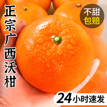 正宗广西沃柑斤新鲜水果当季橘子整箱大果桔子沙糖蜜橘砂糖柑橘甜