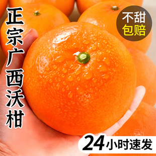 ���ڏV���ָ̽����rˮ��������������������ɳ������ɰ�Ǹ�����