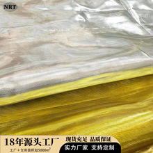 亮丝布色织面料金丝欧根纱金银丝反光舞蹈礼服装饰舞台服布料批发