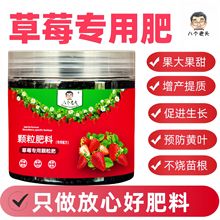 草莓肥料专用肥家用盆栽通用型缓释复合有机肥颗粒坐果期增甜土培