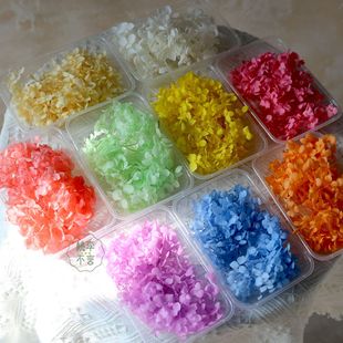 Everlasting Flower Hydrangea Petals in Bulk Anna Hydrangea Head Wood Hydrangea Dried Flowers Glue Bubble Mart DIY Flower Materials