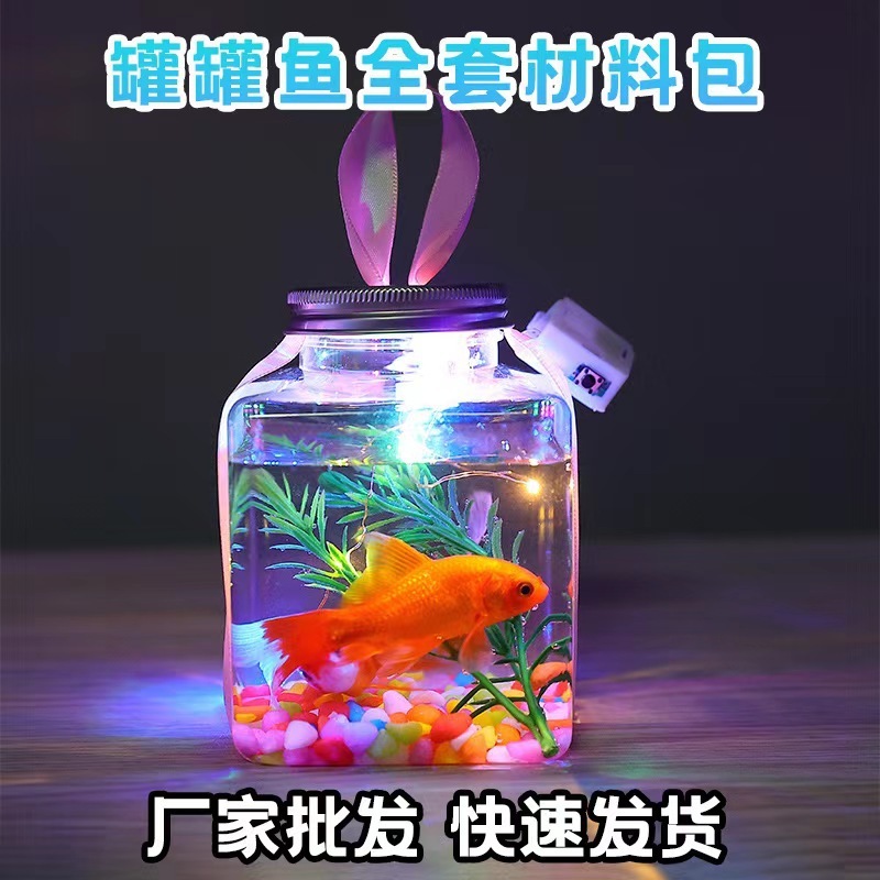 江湖の缶の魚のセットの材料は子供の発光のおもちゃの四角形の夜市の公園を包んで屋台の創意の贈り物を並べます。|undefined