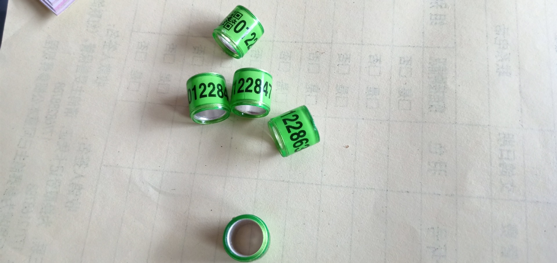 2025年克隆足环复制脚环复制鸽子补做丢失信鸽足环特比环选号