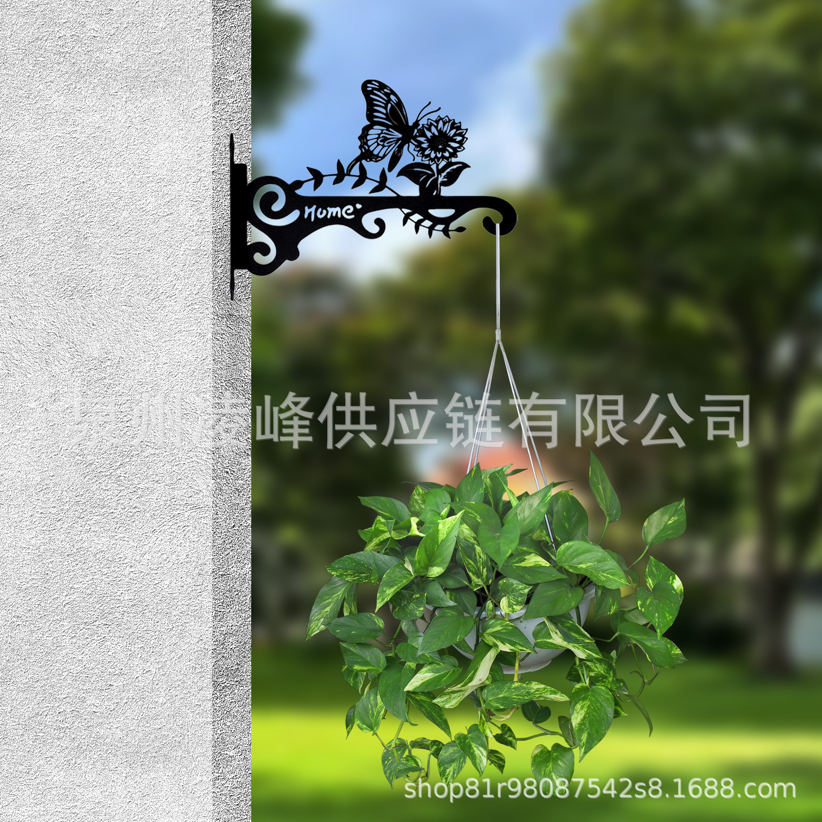 美学の壁の植物のフックの屋内および屋外-金属の掛かる植物のブラケットのベルトの美しい鳥の図