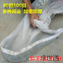 �b�ߴ��Ӻ�W��80Ŀ100Ŀ�����W���b��������ȴ��D��� �~�rˮ�a