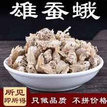 中药材新货雄蚕蛾 原蚕蛾优 雄蚕蛾 晚蚕蛾  代磨粉