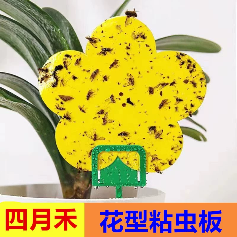 Липкая доска для насекомых типа цветов, оптовая продажа, новая доска для ловушек для цветов, доска для выращивания цветов, липкая доска для насекомых, опорный стержень, желтая двусторонняя доска для насекомых, фабрика