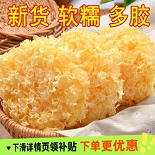 大花银耳新货古田干货特产级银耳净重新鲜白糯雪耳莲子红枣羹