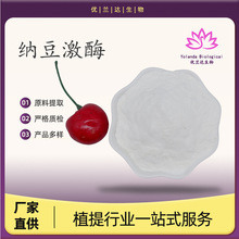 纳豆激酶500-50000Fu/g 纳豆提取物 纳豆粉 多规格 厂家直供 现货